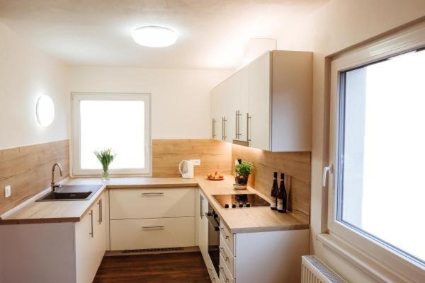 Sojka apartmány Jeseníky Sobotín Esterno foto