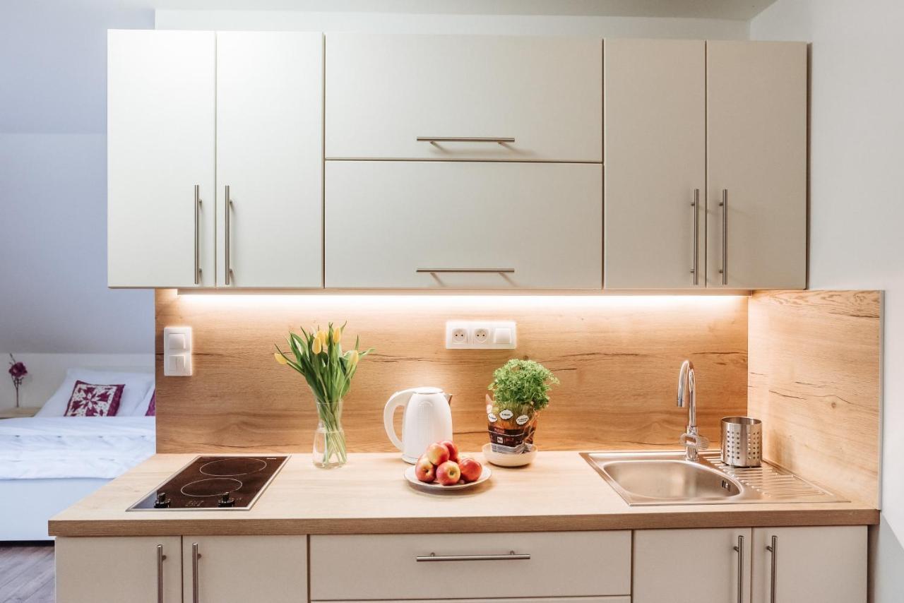 Sojka apartmány Jeseníky Sobotín Esterno foto
